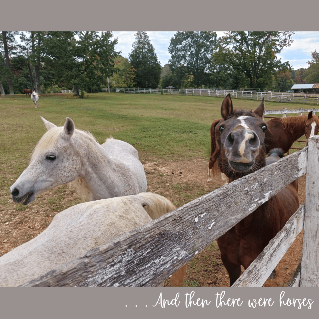 And then there were&nbsp;horses